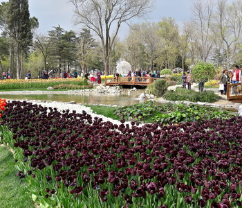Image Tour